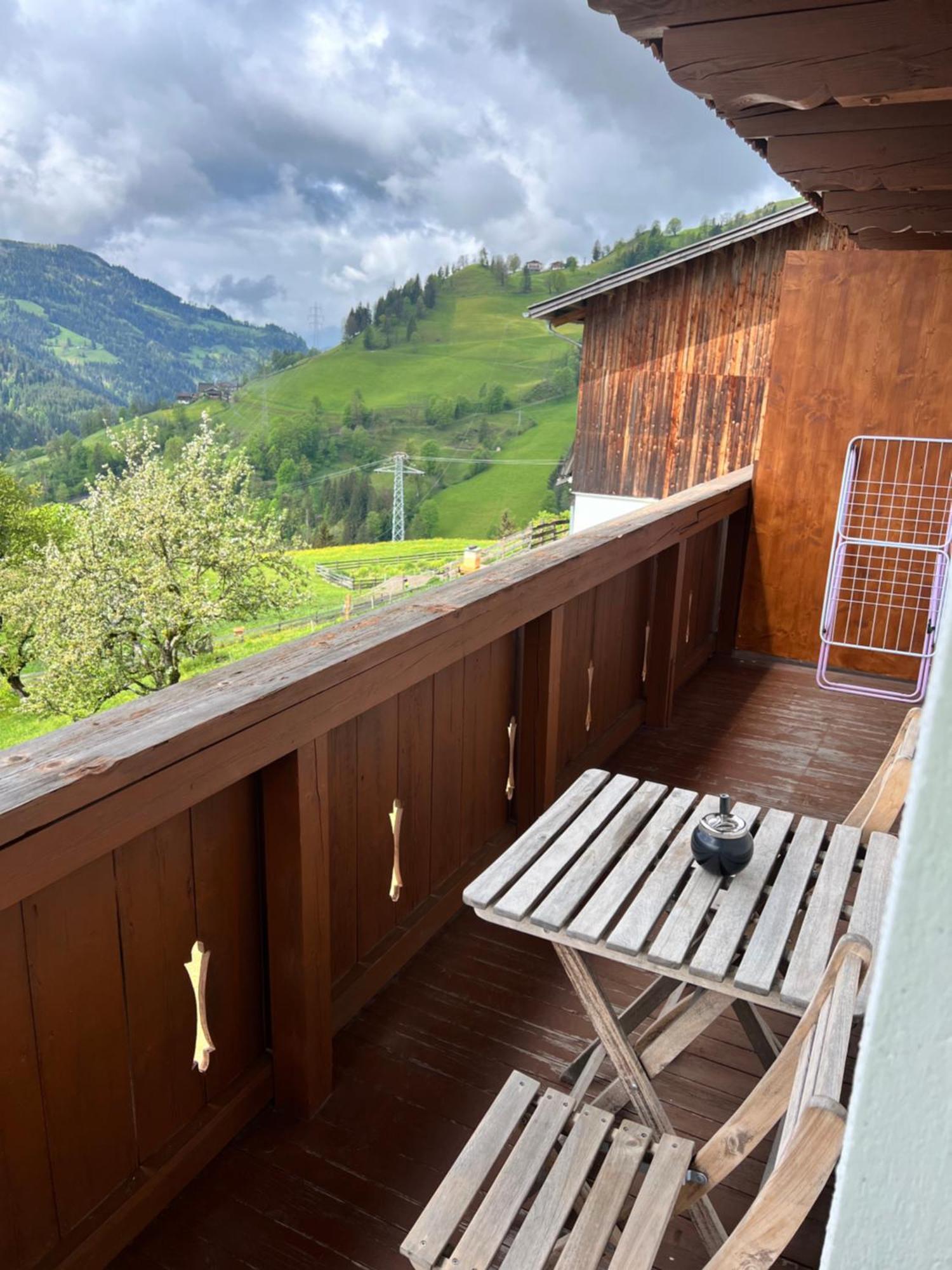 Bio Bauernhof Oberbenk Apartamento Wagrain Exterior foto