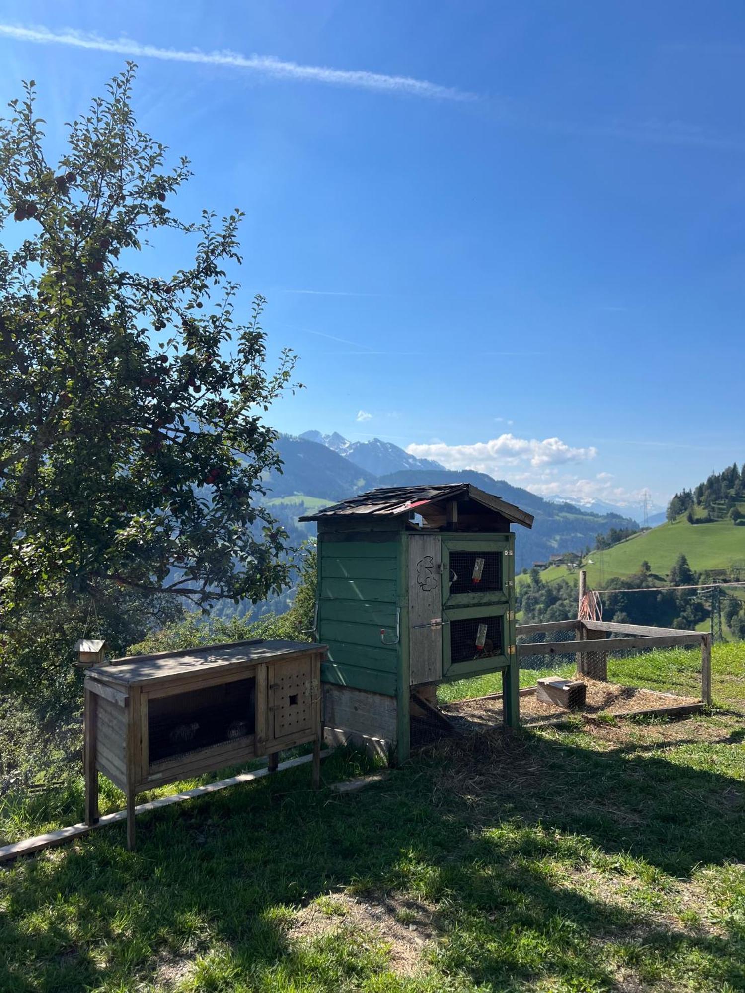 Bio Bauernhof Oberbenk Apartamento Wagrain Exterior foto