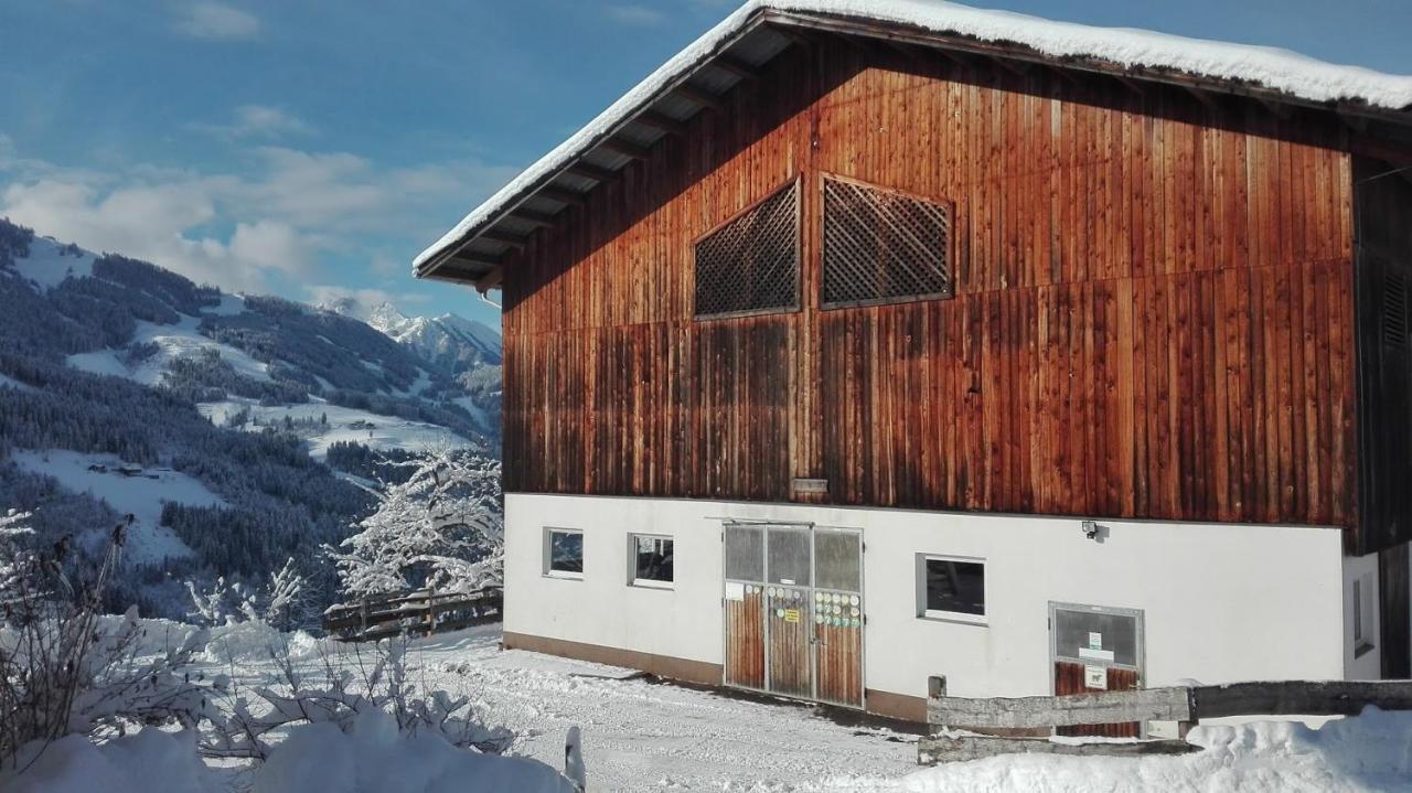 Bio Bauernhof Oberbenk Apartamento Wagrain Exterior foto